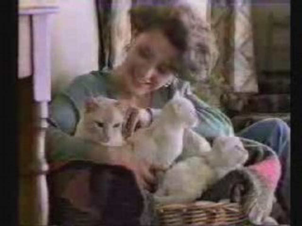 Les Nuls - Chats Kwiskas - videos - Délire