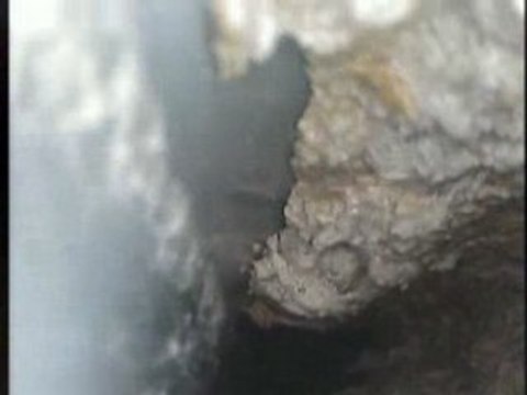 Caméra d'inspection de Canalisations