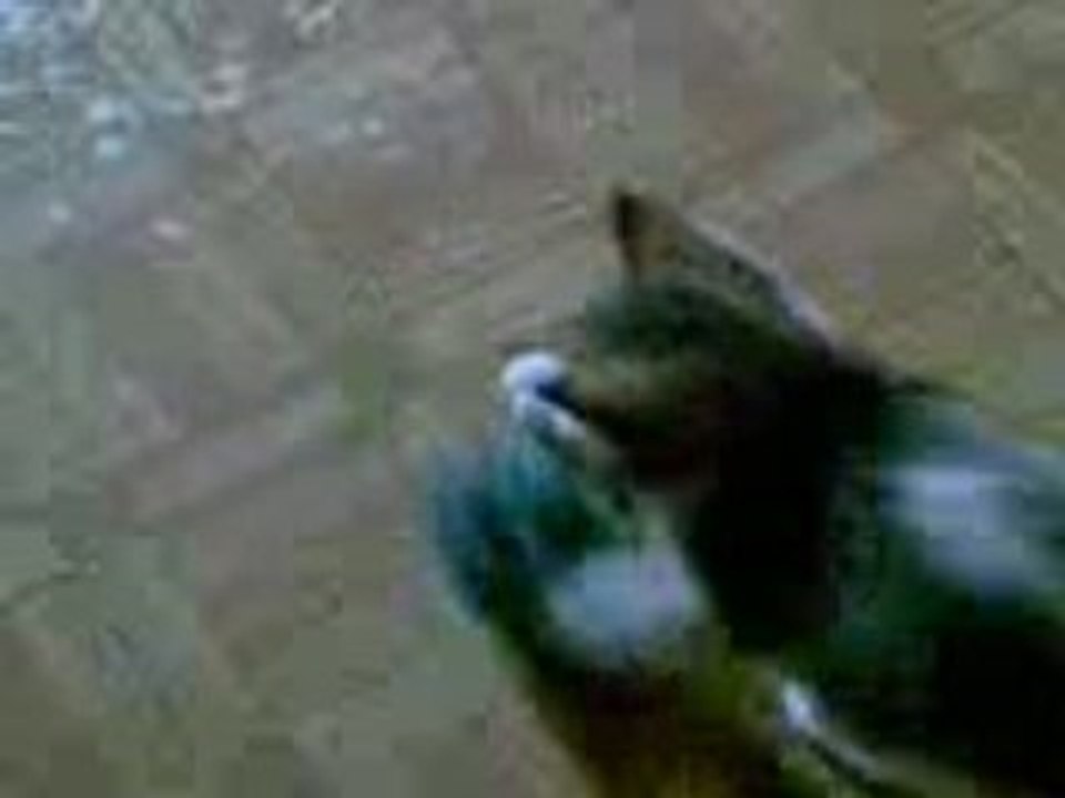 Vidéo010 // 15 septembre 2008