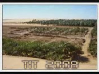 TIT 2008
