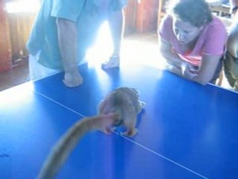 Bubu a madagascar
