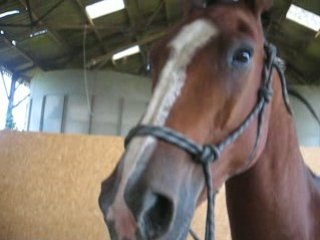 Travail longe musique yann tiersen