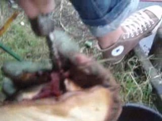 pêche, nature et ... j'aime les poissons