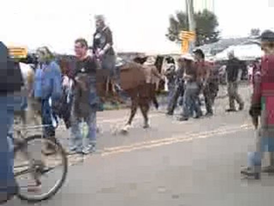 Dans la ville de st-tite rodeo