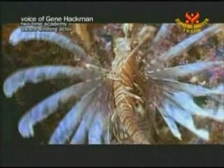 Green For All: An Interview with Founder Van Jones, J.D.