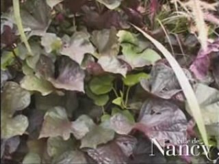 Montage et installation