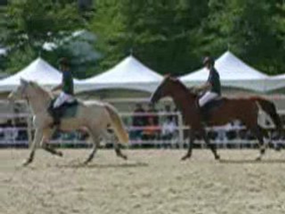 matthieu et damiens carousel cso