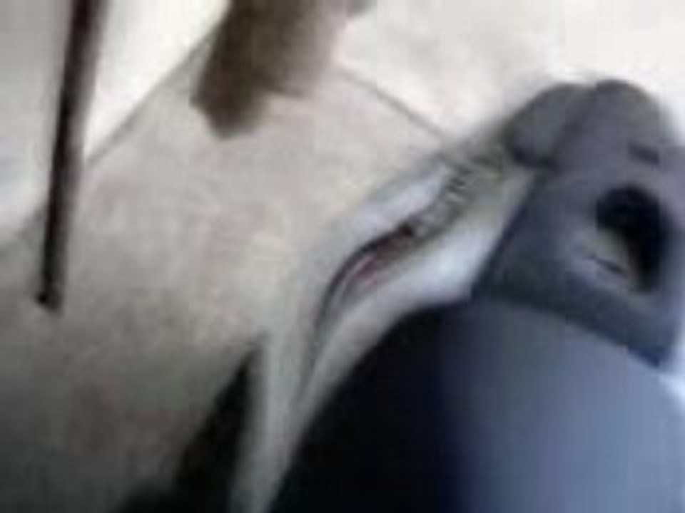 V17-09-08_19.05