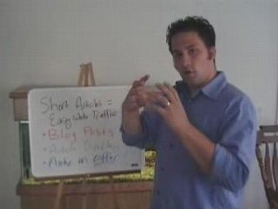 Short Articles/ Blog Posts for Easy Website Traffic