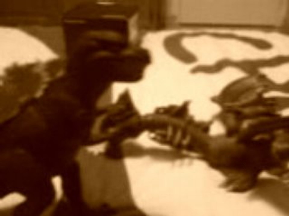 GODZILLA (la suite)