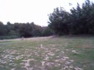 explosion de bouteille