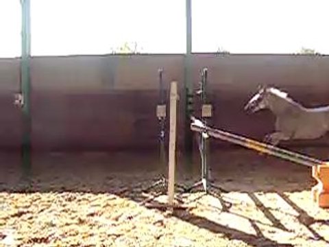 Opaline en Liberté, 1m20