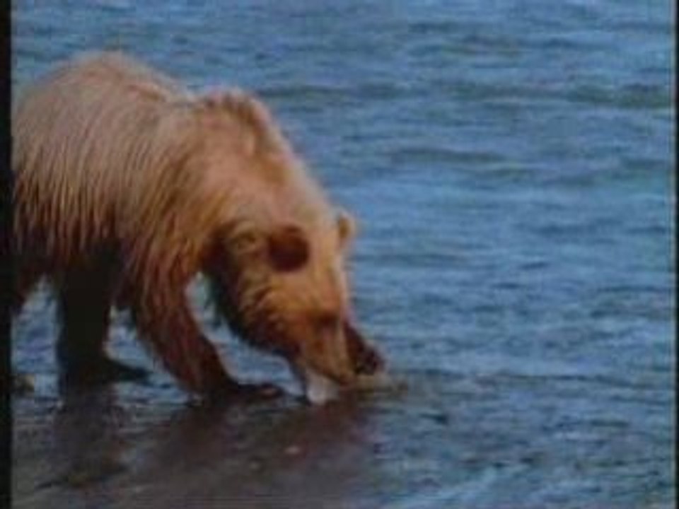 Bruno Levesque - Between heaven and hell