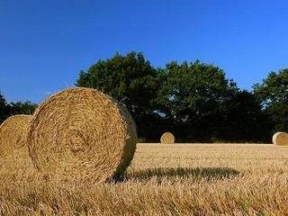 Harvest(Neil Young cover)(sous-titres fran/ang dispos!!!)