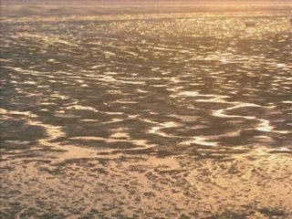 Saint Jacut été 2008