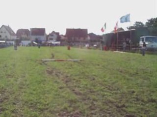 fete du cheval osthouse