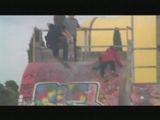 Session cat-skateboard grammont conneries