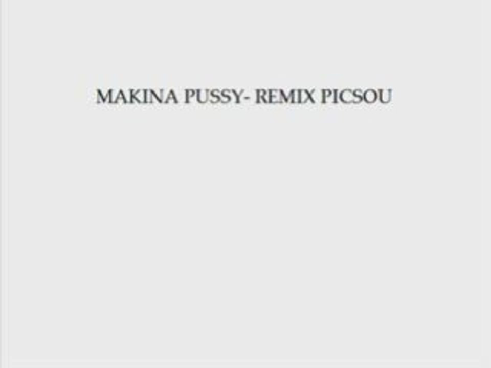 MAKINA PUSSY- REMIX PICSOU