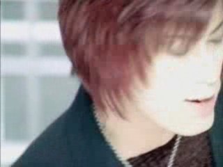 La'cryma Christi　IN FOREST