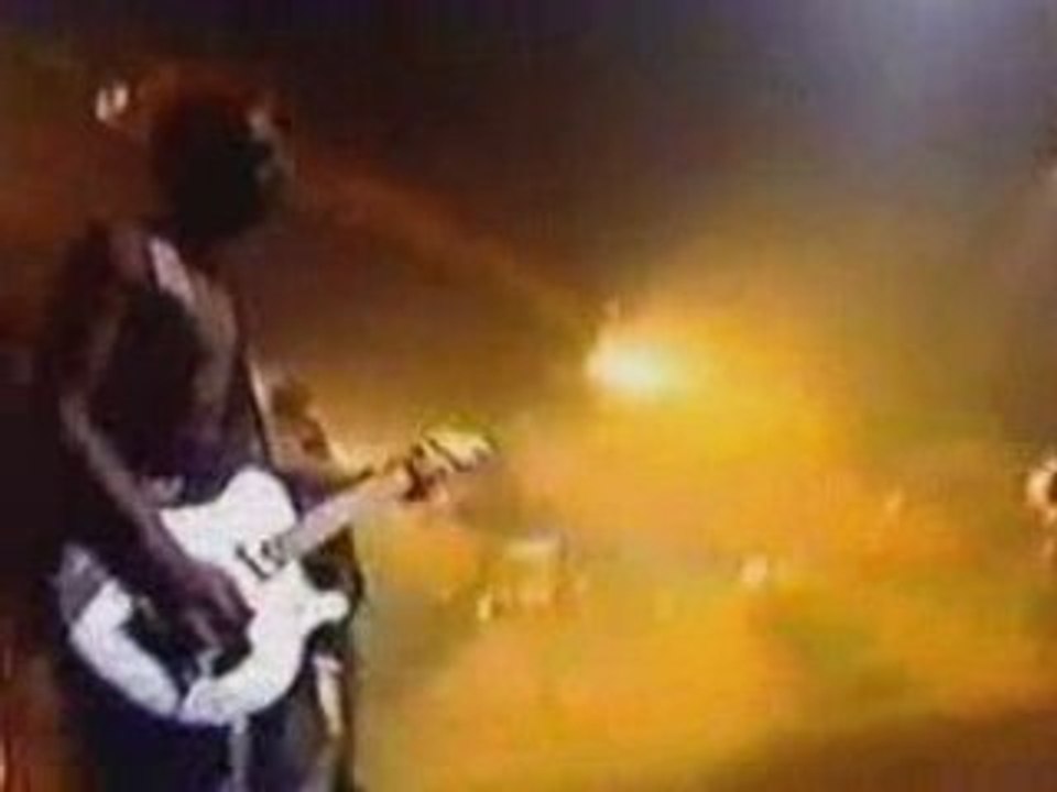 Weisses-fleisch-live-der-arena