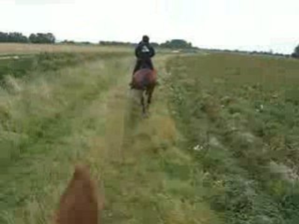 Galop