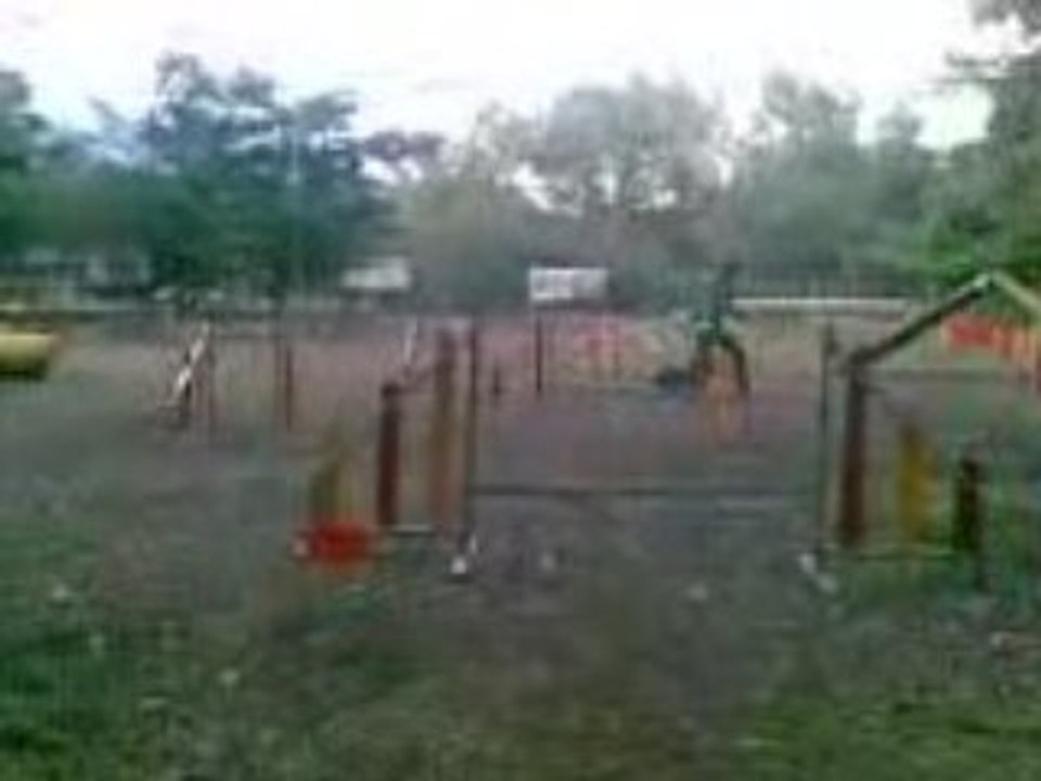 agility