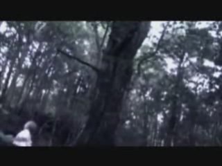 Juka ~  SAINT CROIX [PV]