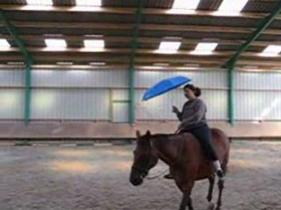Hardi défi 2 parapluie