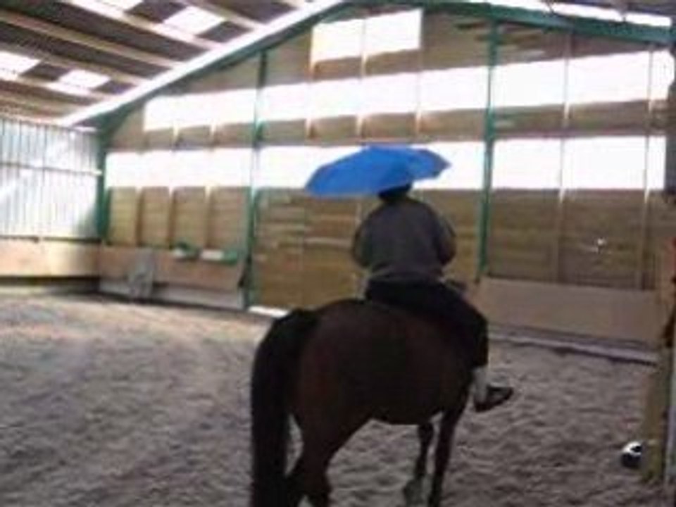Hardi défi 2 parapluie2