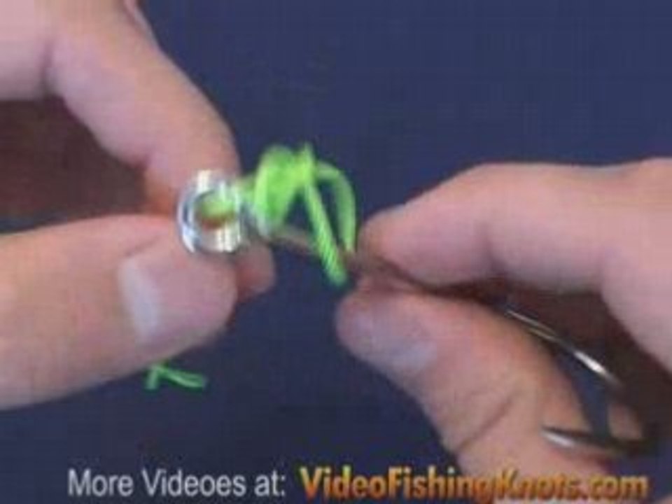 Turtle Knot