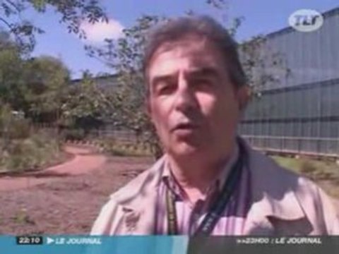 TLT Toulouse - Un crocodile du Nil au museum d'histoire naturelle de Toulouse