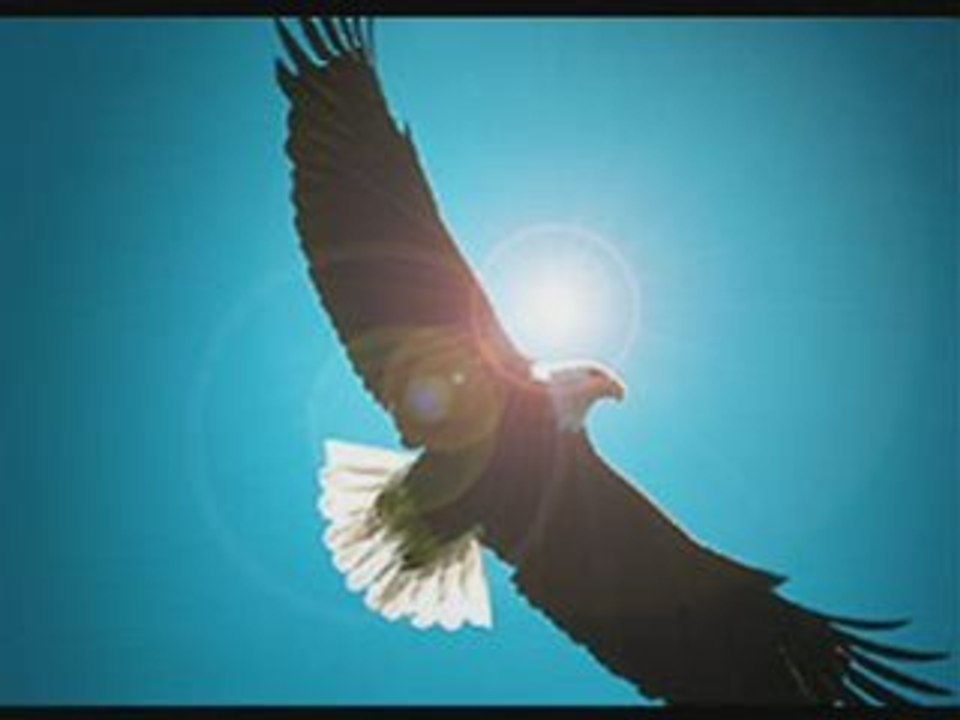 same "Oiseau de lumiere"