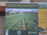 V Muestra Desarrollo Ecológico A Veiga-Vegadeo 2008