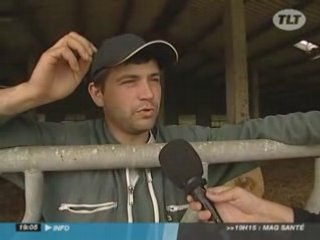 Maladie de la langue bleue : explications