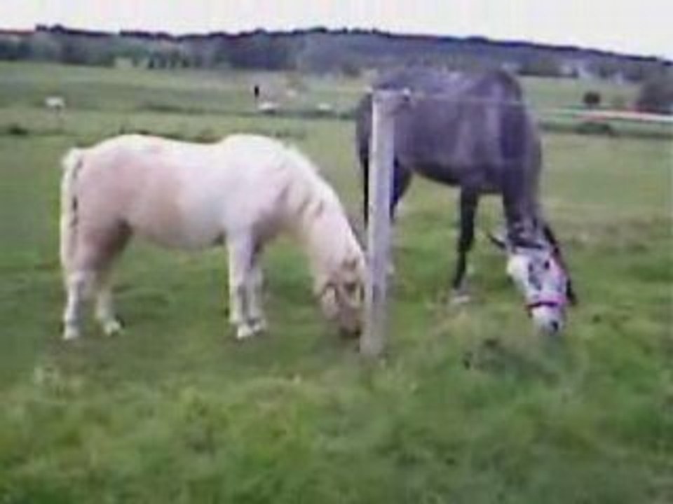 Bianca et Dolce