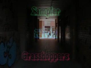 sampler aitor grasshoppers