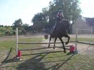 moi & darshaan obstacles