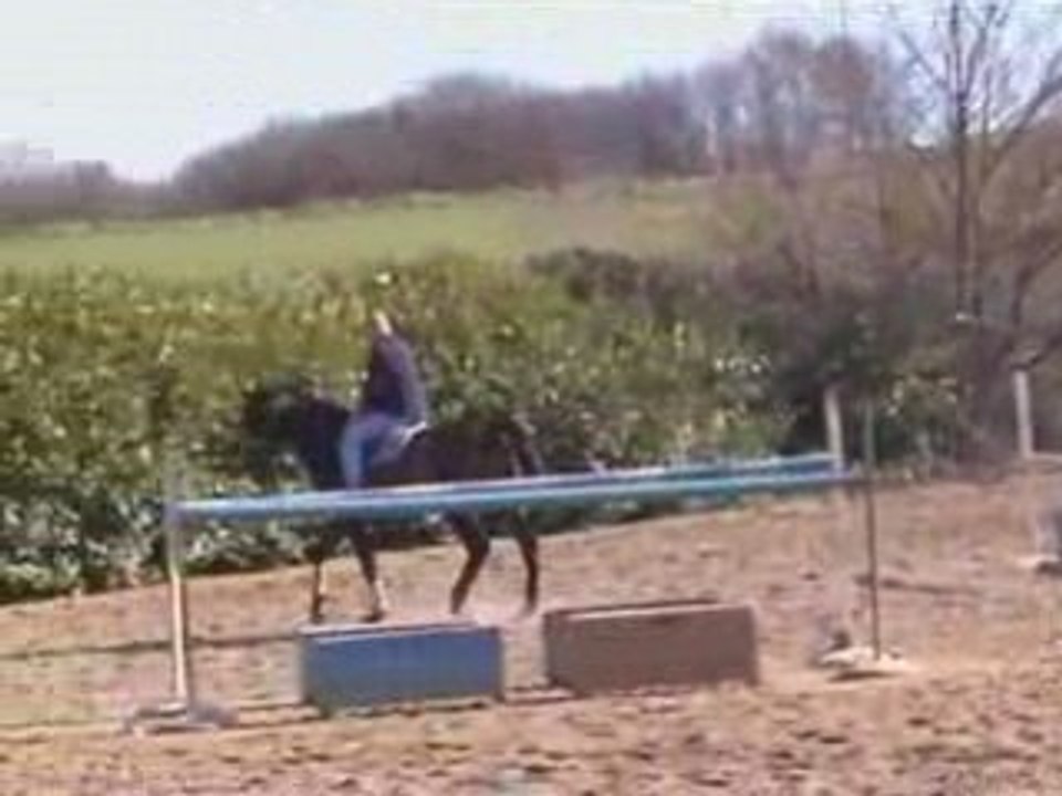 Internet  D'Orgeix  fév-2000 partie 1