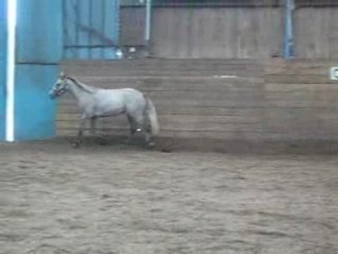 Jeudi 18 septembre barre au sol au trot
