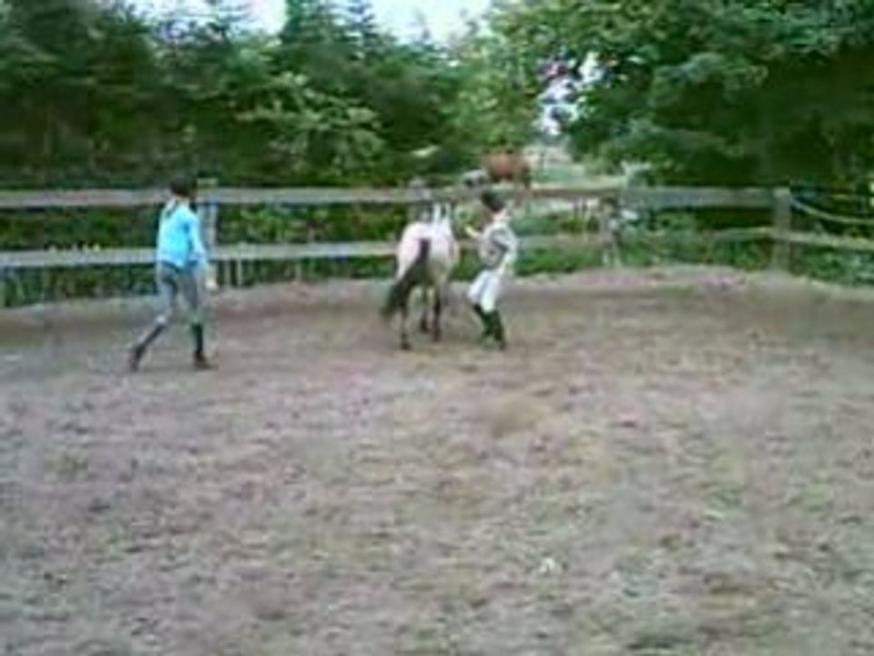 cour jeux de cheval