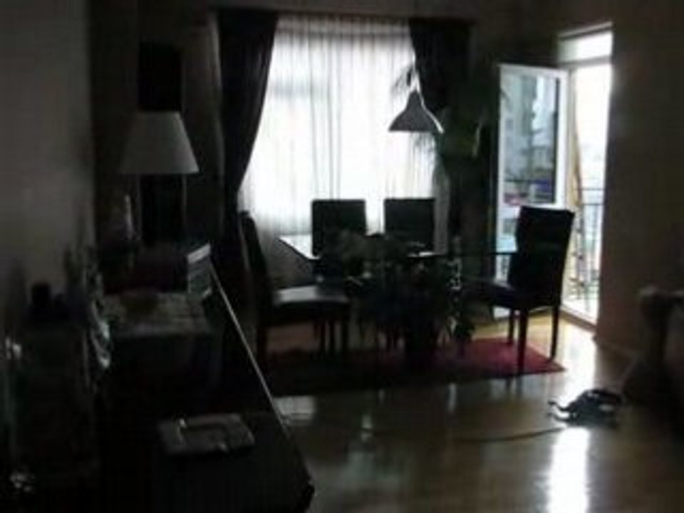 Crazy Cat