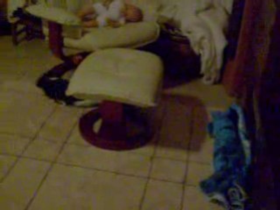 chat vs lapin