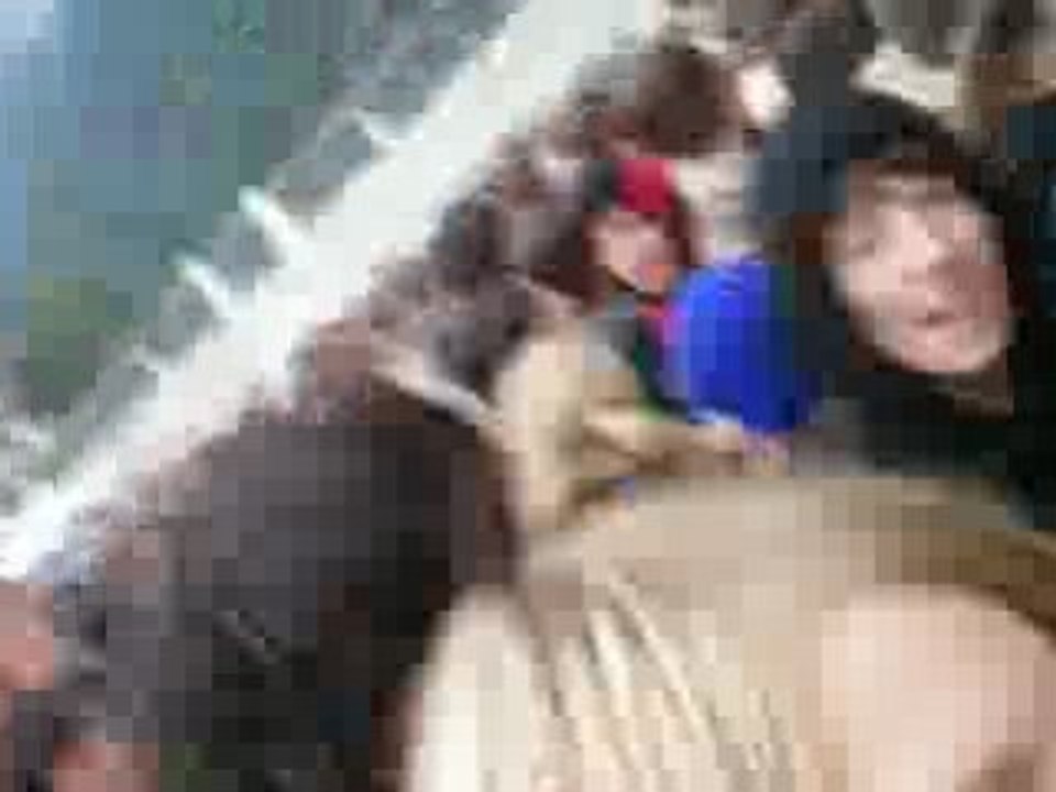 beatsteaks greenfield ferstival 2008 pogos de fous