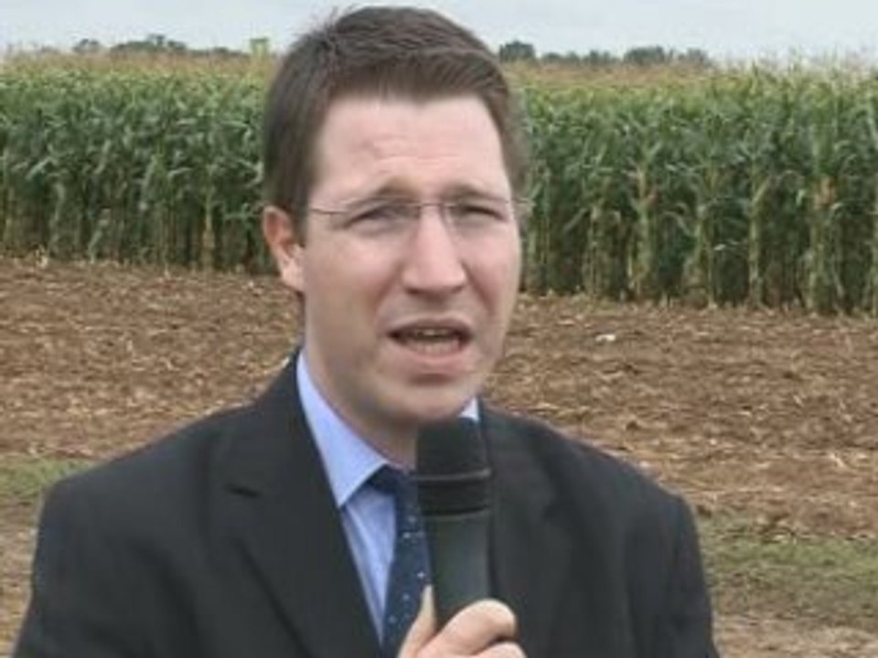 Blé : bilan de récolte 2008