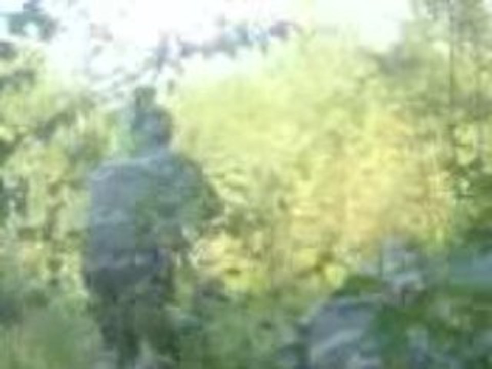 G.A.S Air soft