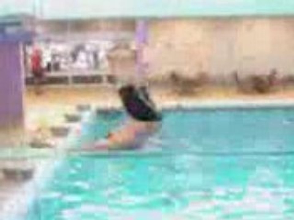 Plongeon
