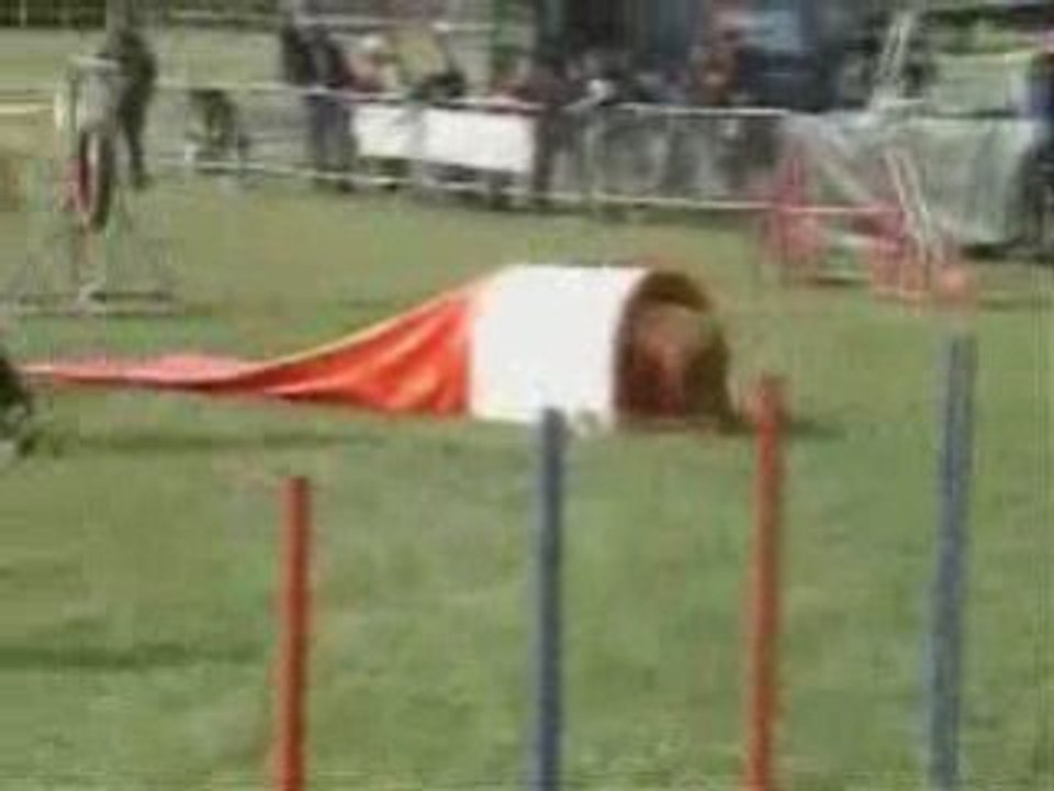 2eme degre aubiere 2008