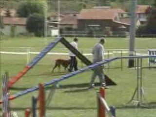Grand prix de france aubiere 2008