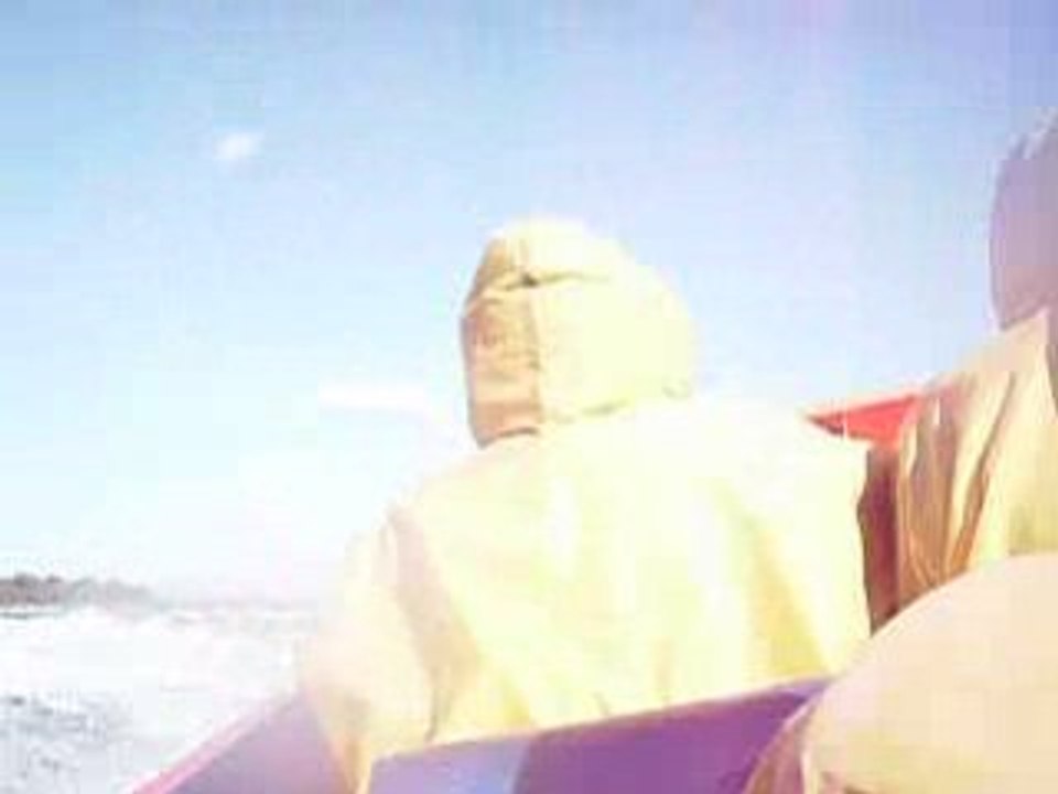 saute moutons alex et annie