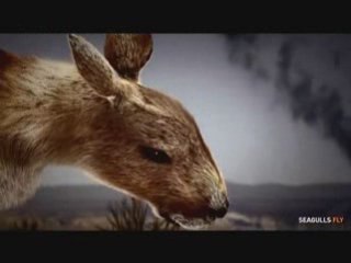 Réchauffement climatique (Pub Quersus)